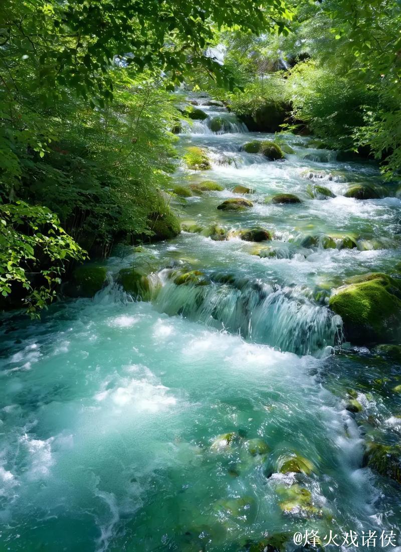 发现1024手机基地的最新资源与功能 发现1024手机基地的最新资源与功能