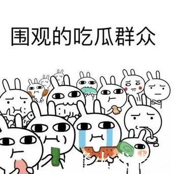 每日吃瓜趣事一网打尽